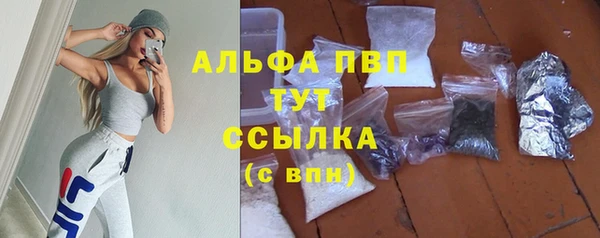 гашик Вязники