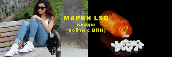 гашик Вязники