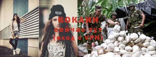 гашик Вязники