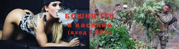 гашик Вязники