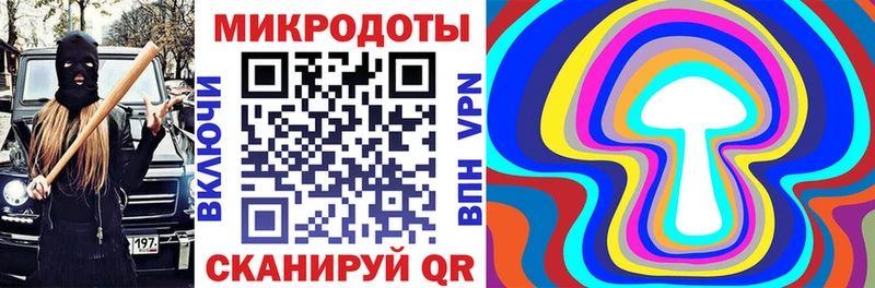 Галлюциногенные грибы прущие грибы  Городище 